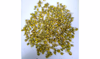 Egyptian- Chamomile Flowers