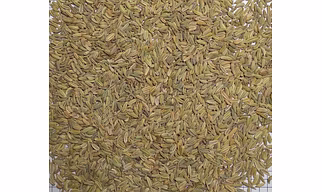 Egyptian Fennel Seeds