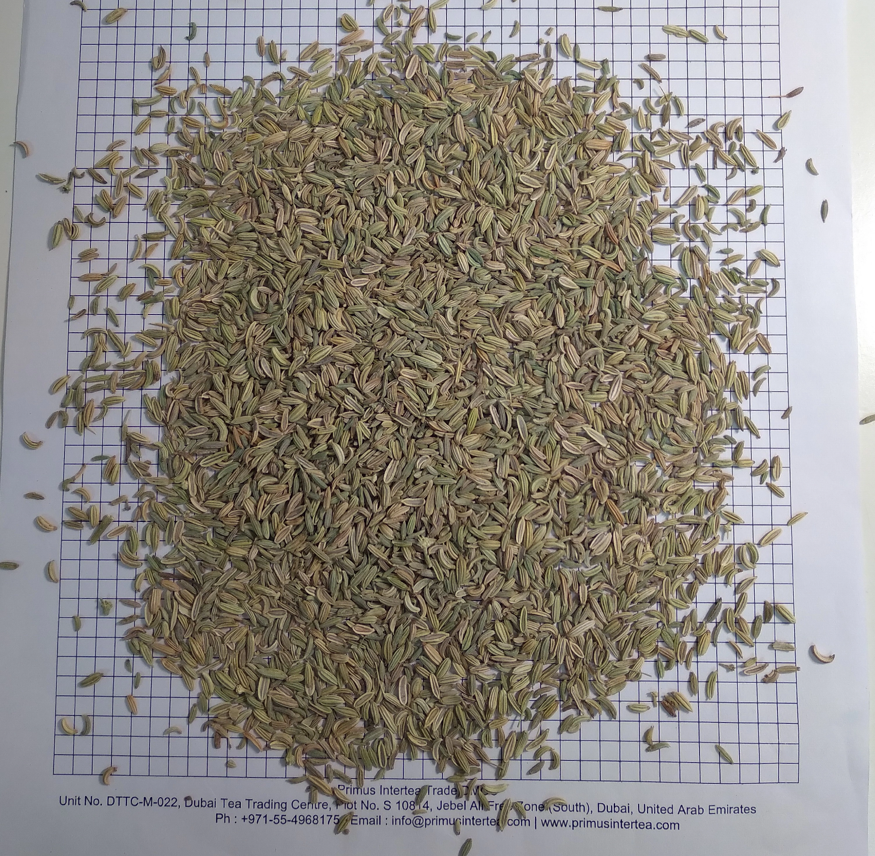 Egyptian Fennel Seeds-1