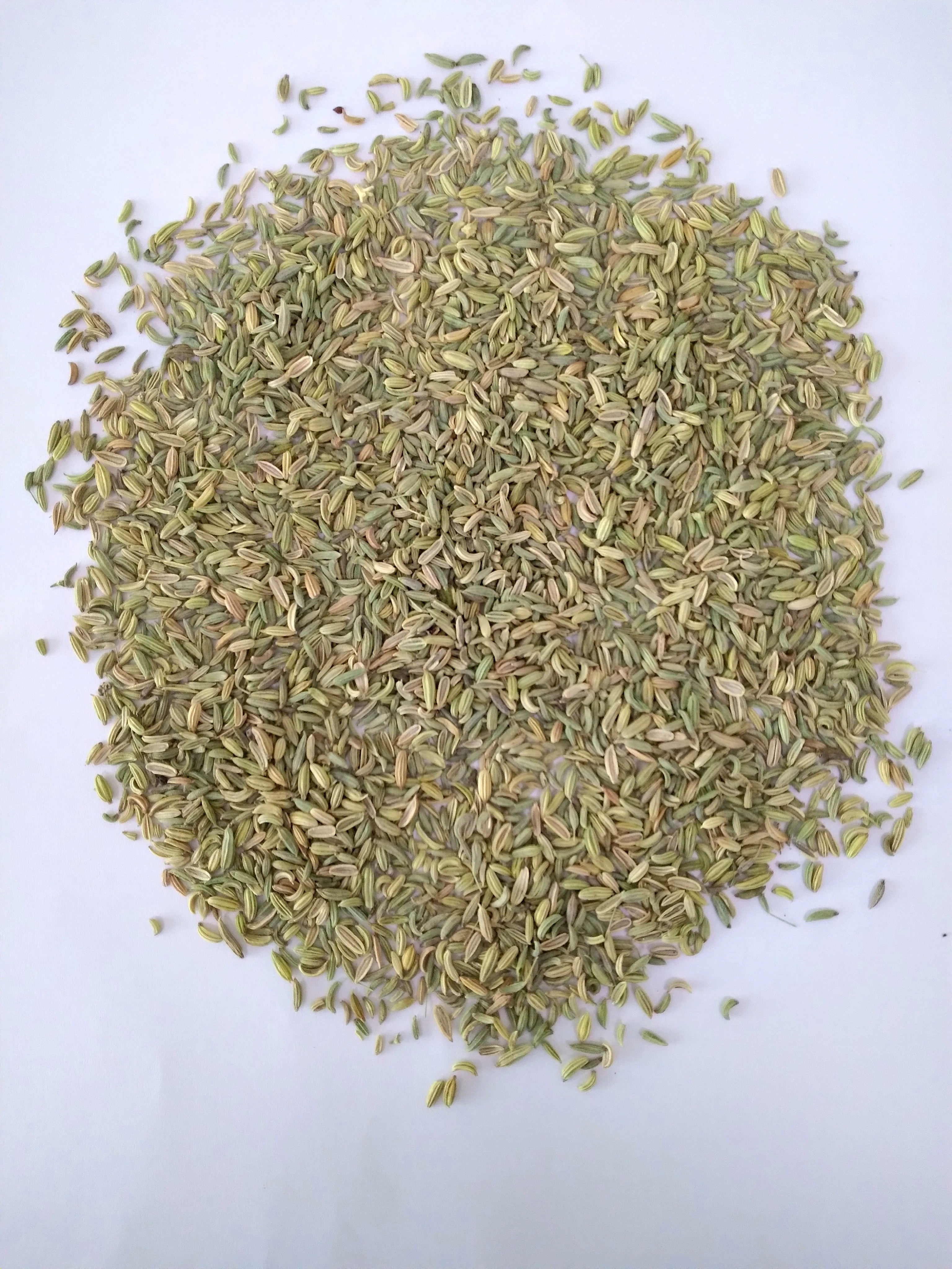 Egyptian Fennel Seeds-2