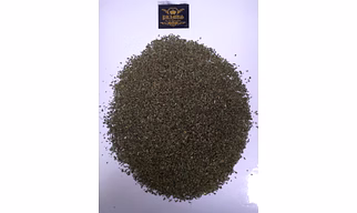 Egyptian Peppermint