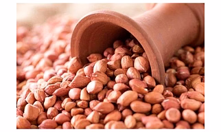 Ground nut