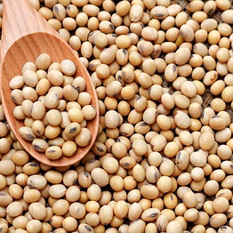 soyabean