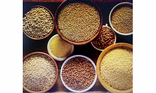 MILLET