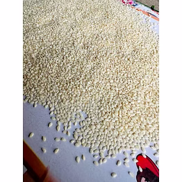 sesame seeds