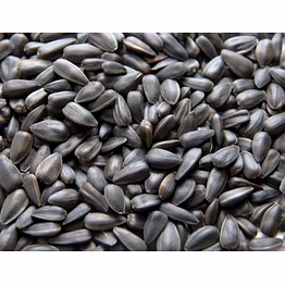 sunflower seeds