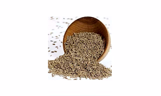 Cumin jeera
