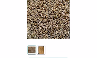 Cumin seeds