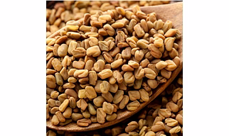 Fenugreek seeds