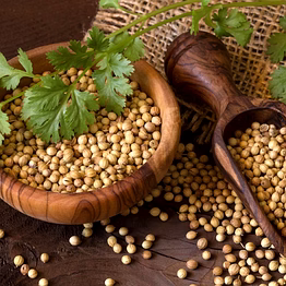coriender seed