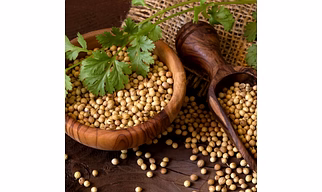 Coriender seed