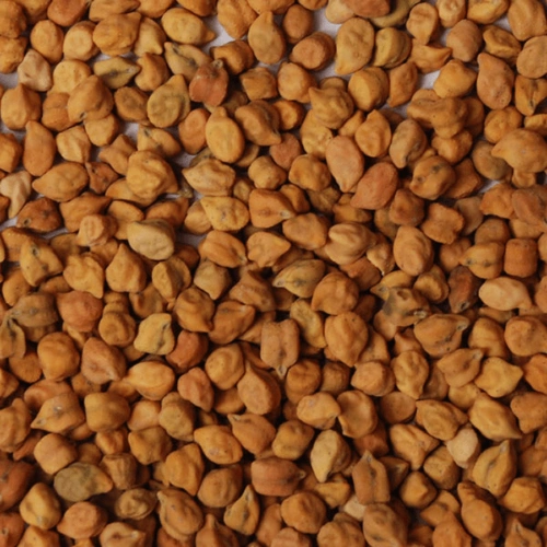 BENGAL GRAM, DESI CHICKPEA-12629694