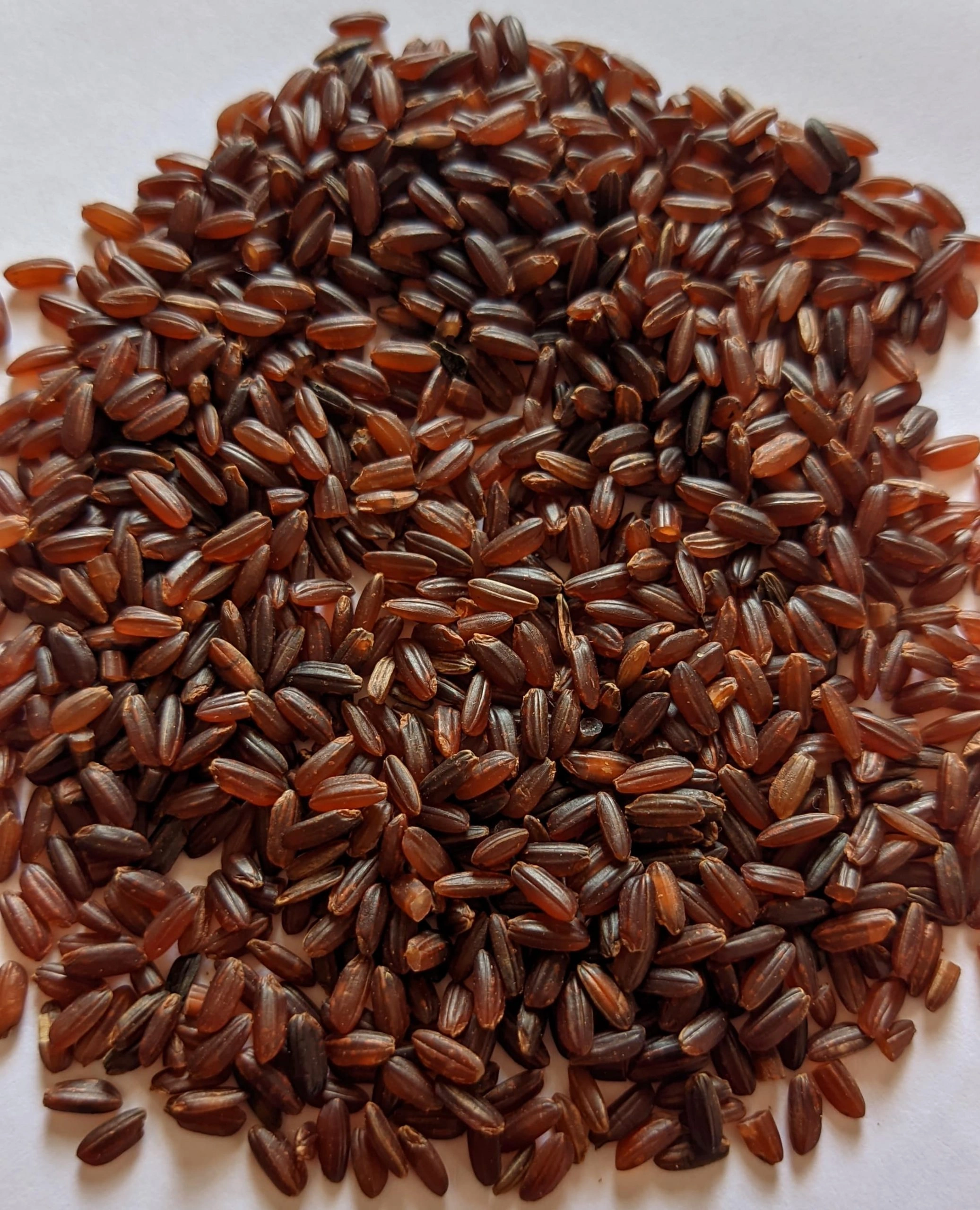 Organic Maapillai Samba Rice-2