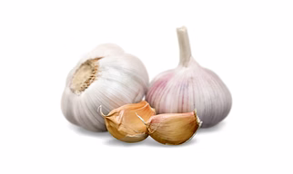 Fresh White Garlic