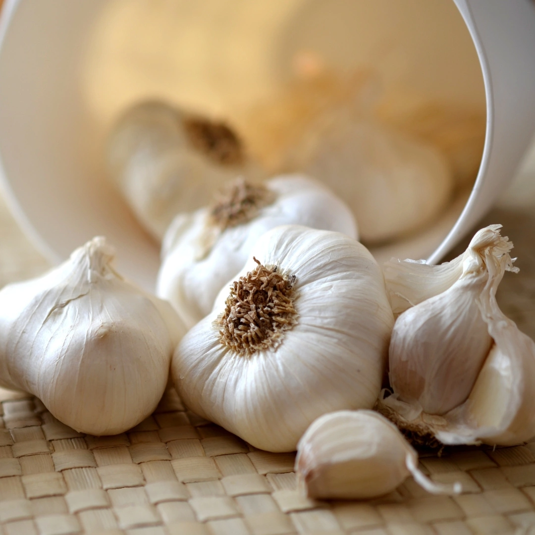 Fresh White Garlic-2