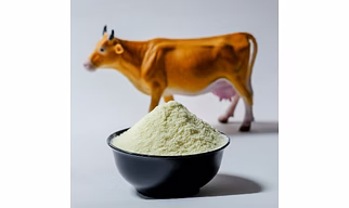 MILK POWDER