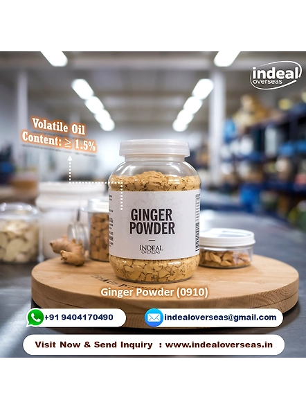 GARLIC POWDER-2