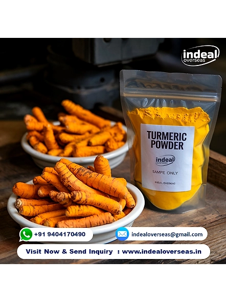 TURMERIC POWDER-2