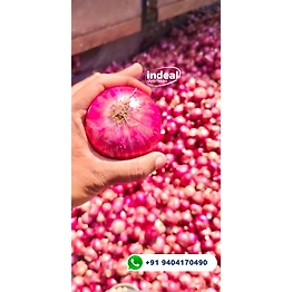ONION