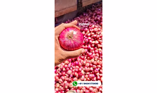ONION