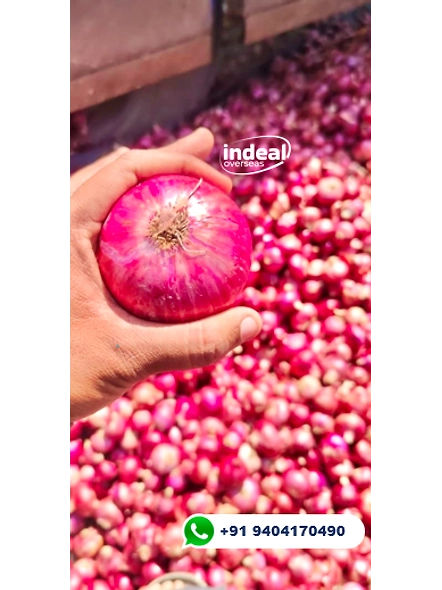 ONION-12708181