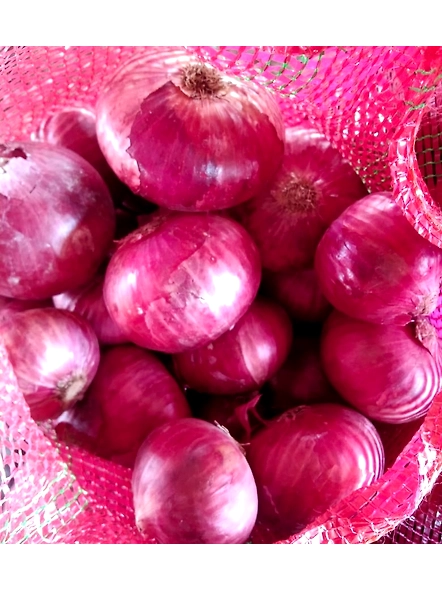 ONION-1