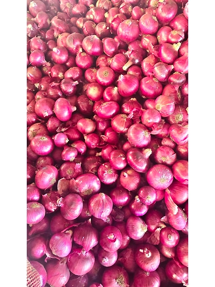 ONION-2