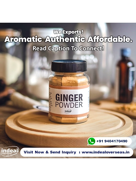 GINGER POWDER-1
