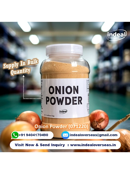 ONION POWDER-3