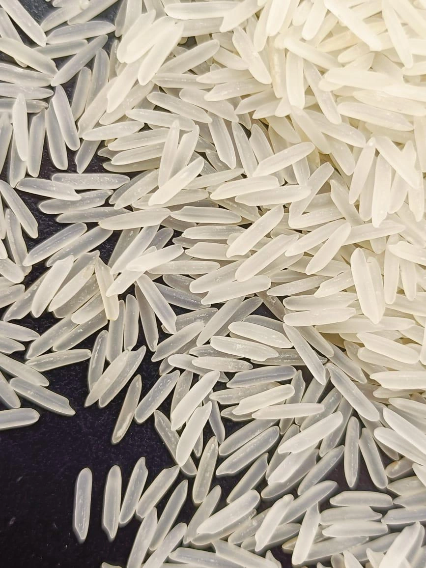 1121 LONG GRAIN BASMATI RICE-3