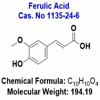 mt chemtech ferulic acid cas 1135 24 6
