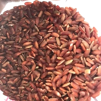 RED RICE-12621036