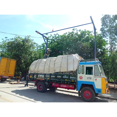 Overhead Lifeline System-3