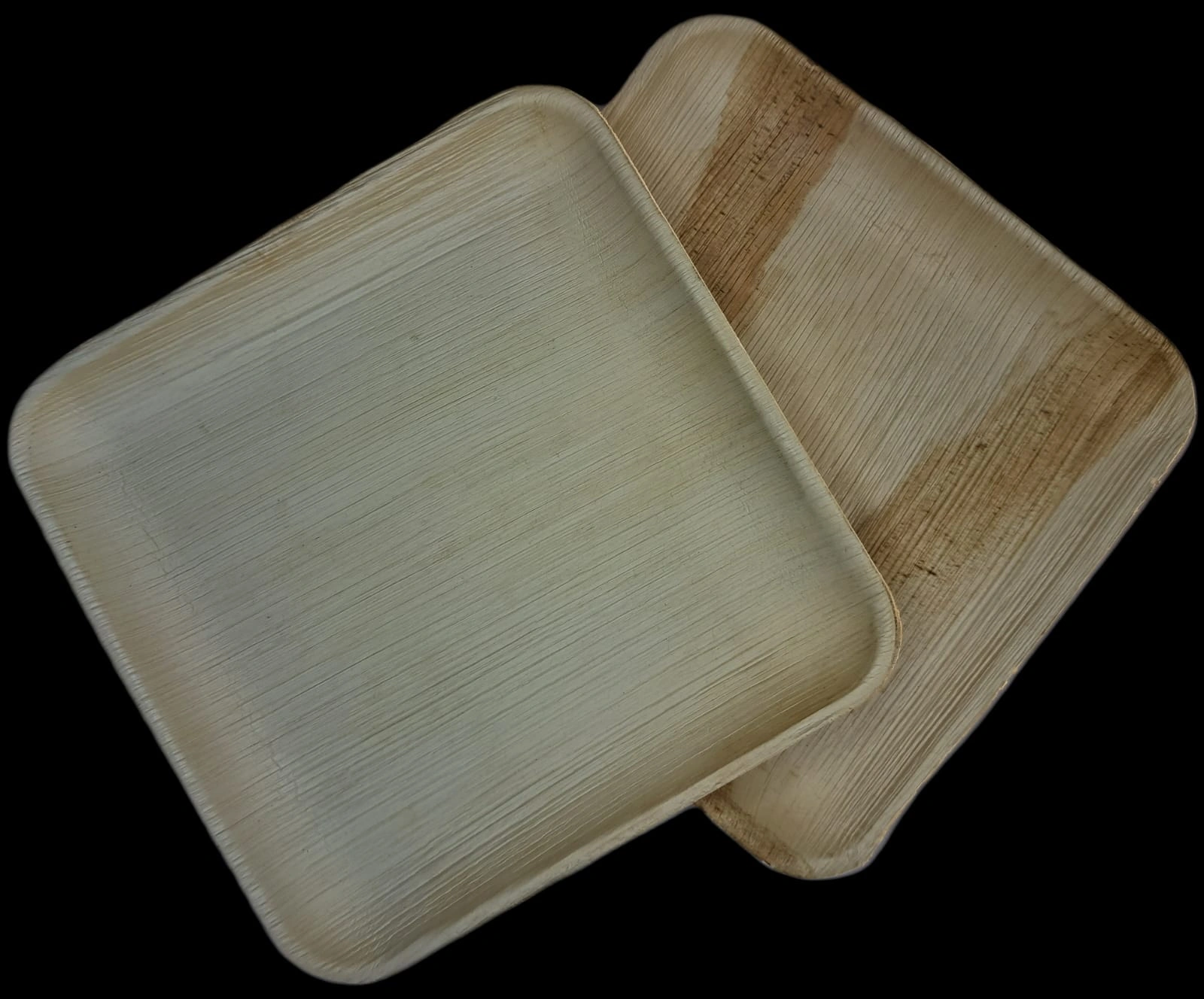 10 Inch Square shallow Areca leaf plates-3