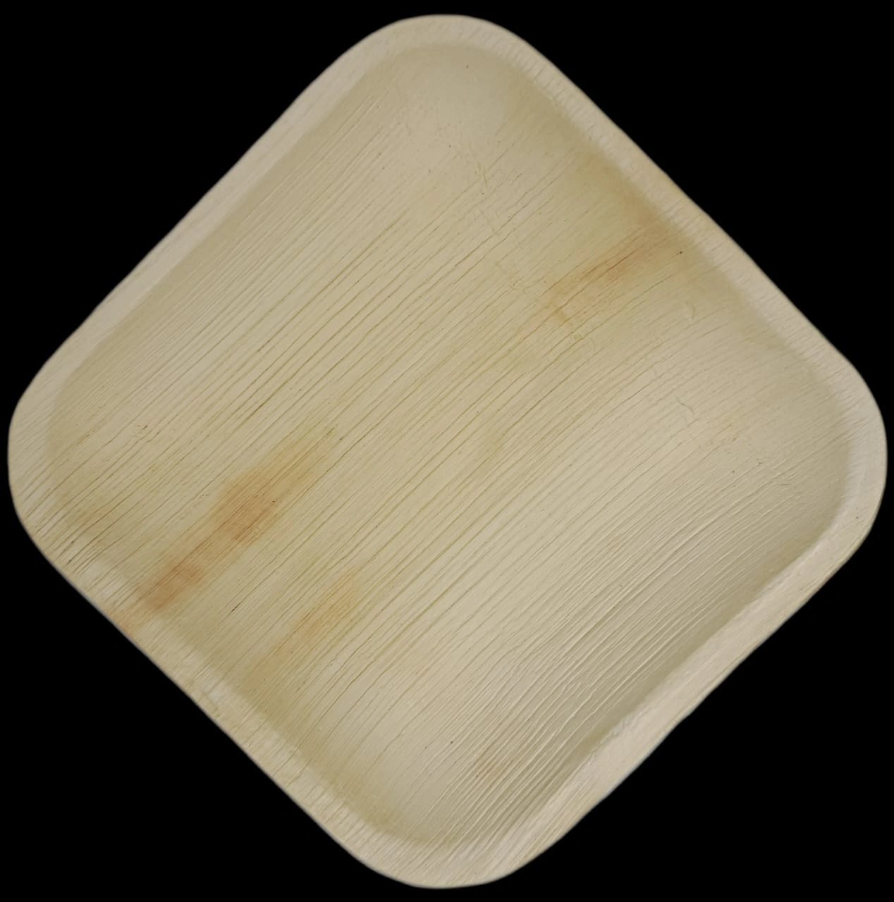 10 Inch Square shallow Areca leaf plates-4