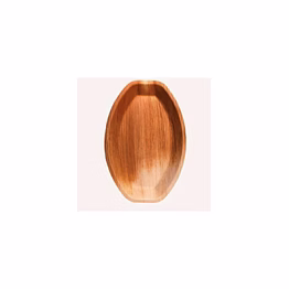 areca life 14*10 oval areca leaf platter