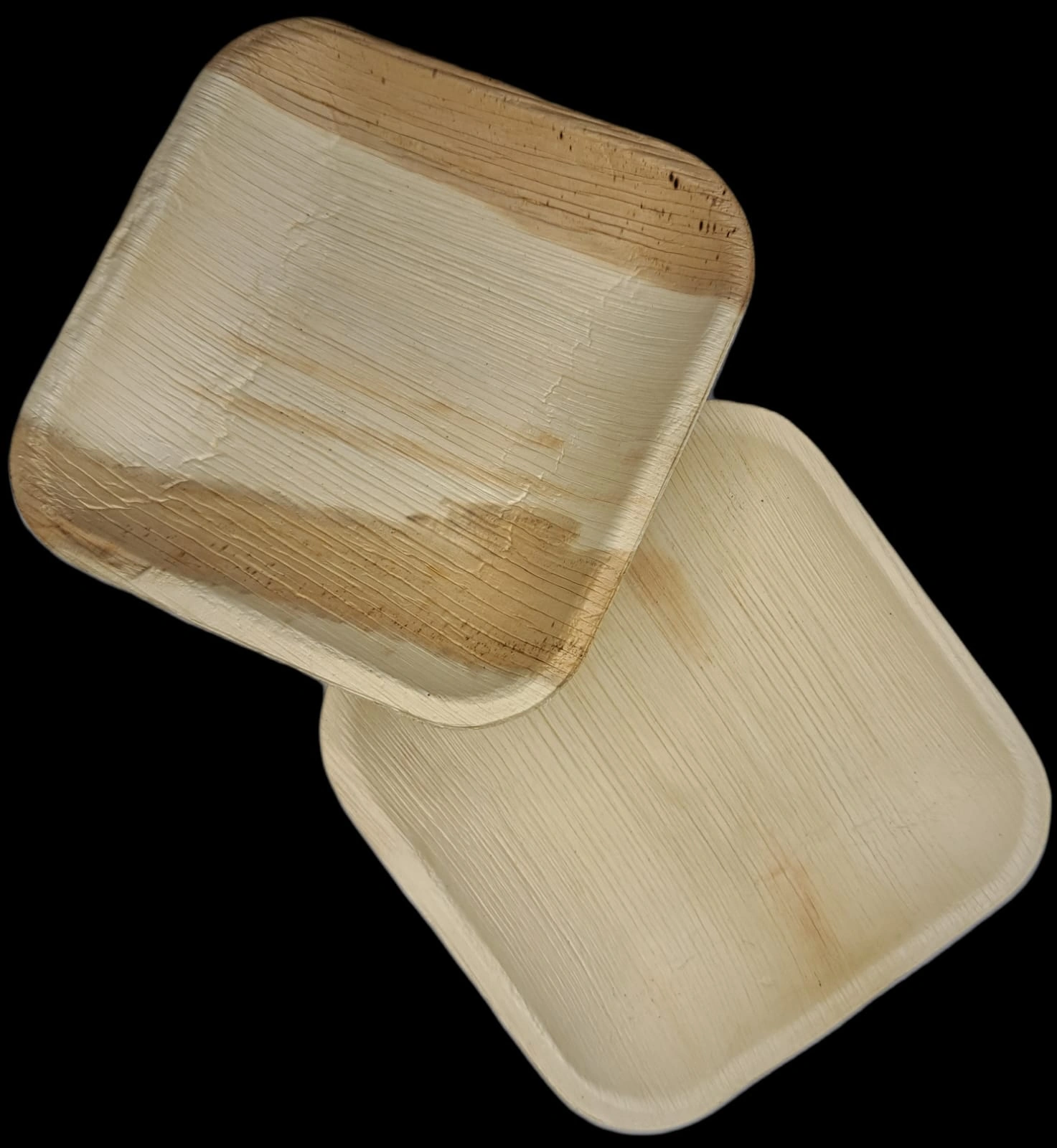 6 inch Square shallow Areca leaf plates-12622690