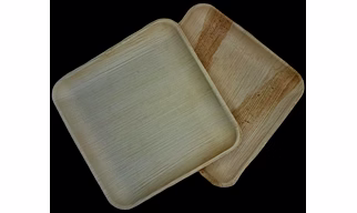 10 Inch Square shallow Areca leaf plates
