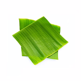 al shaye exim banana leaves