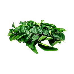 al shaye exim curry leaves