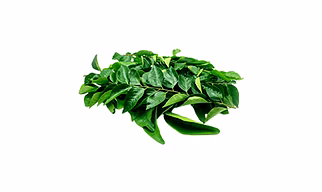 Curry leaves