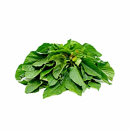 al shaye exim green amarnath