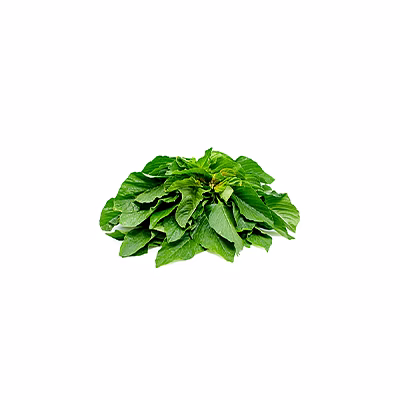 al shaye exim green amarnath