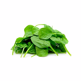 al shaye exim indian spinach