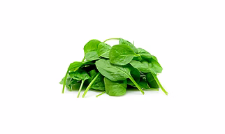 Indian Spinach