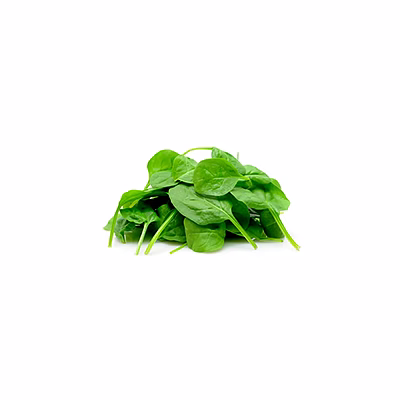 al shaye exim indian spinach