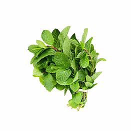 al shaye exim mint leaves