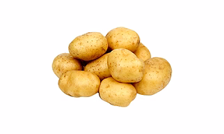 Potato