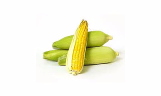 sweet corn