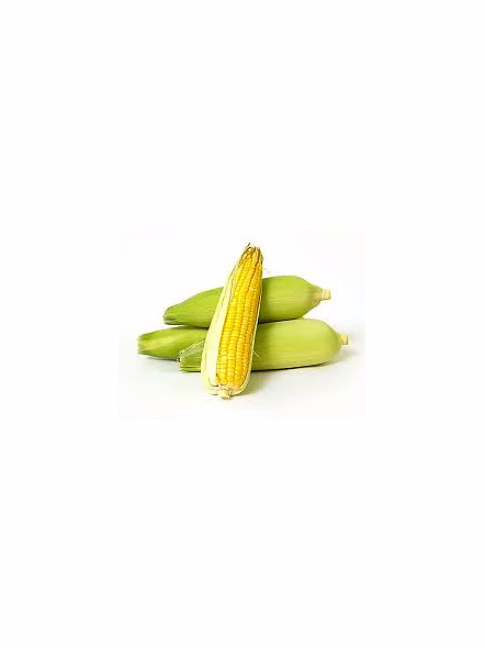 sweet corn